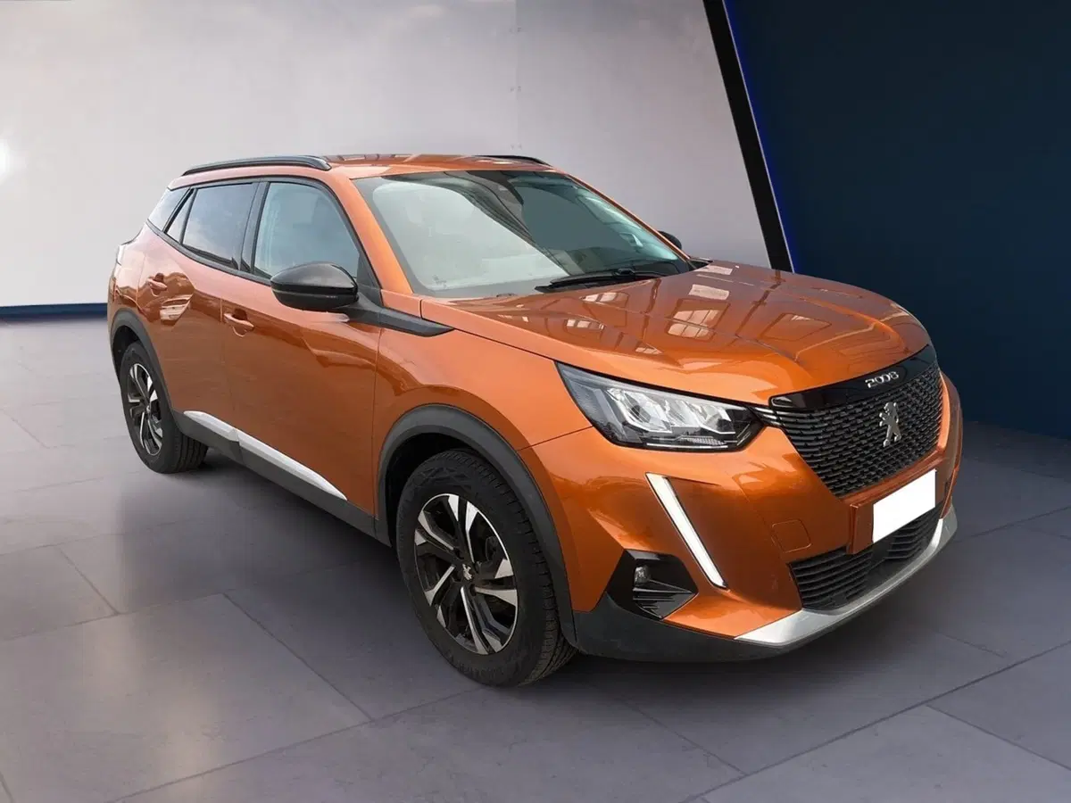 Peugeot 2008 usata a Torino (3)