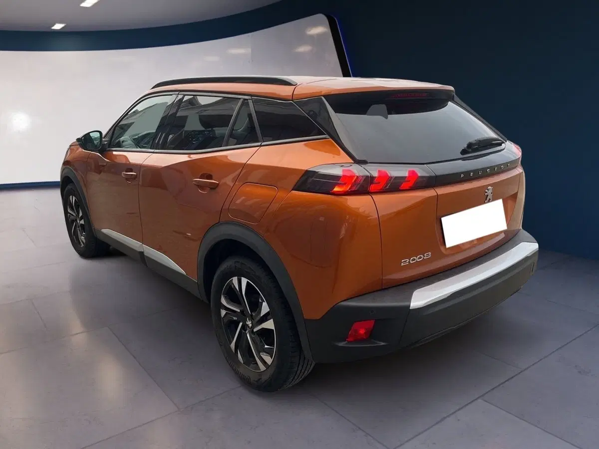 Peugeot 2008 usata a Torino (6)