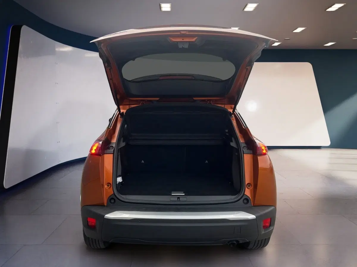 Peugeot 2008 usata a Torino (7)