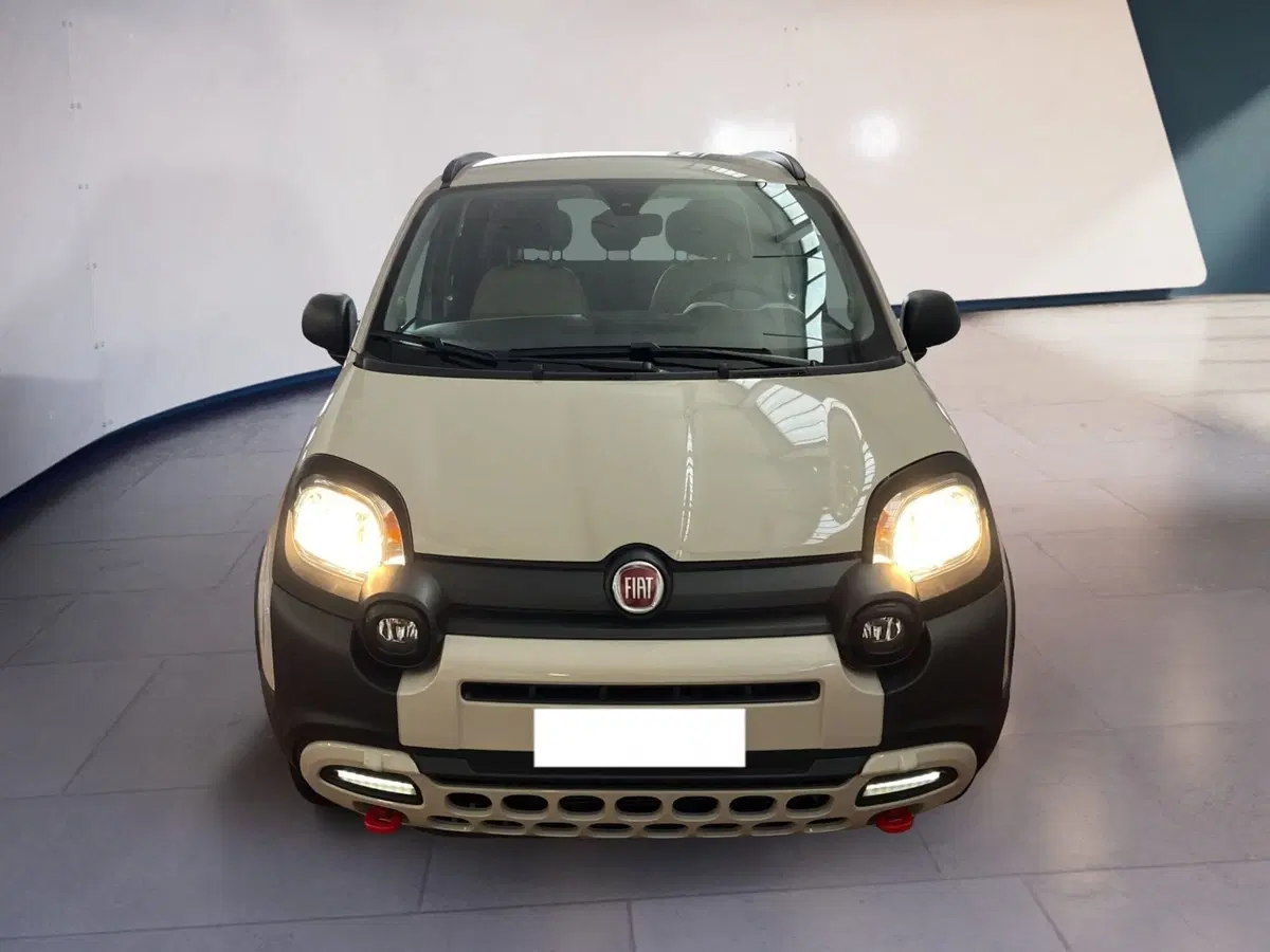 Fiat Panda usata a Torino