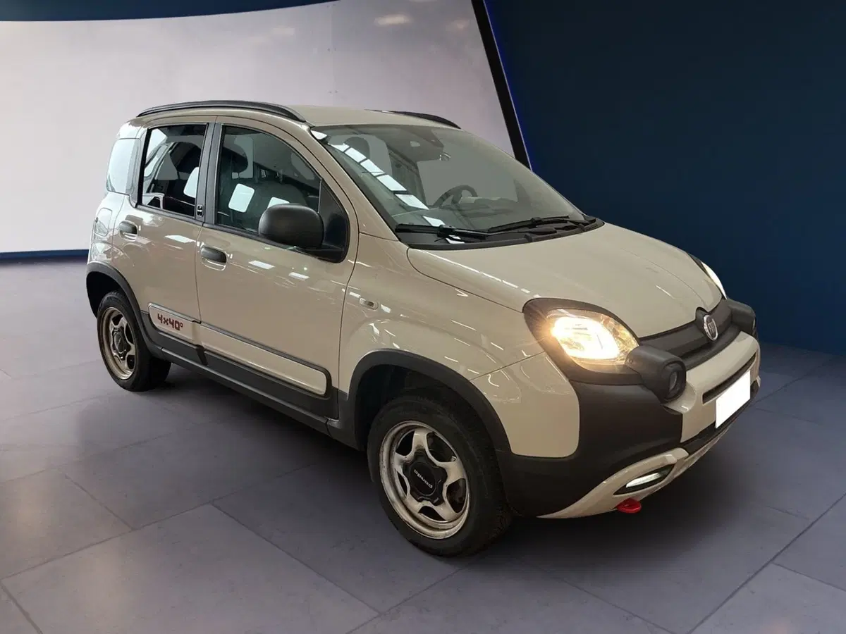 Fiat Panda usata a Torino (2)