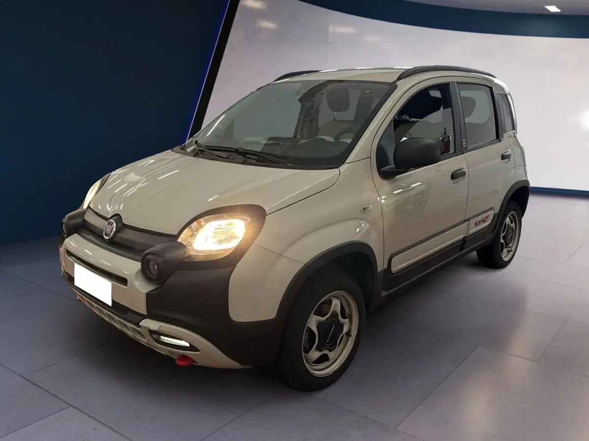 Fiat Panda usata a Torino (3)