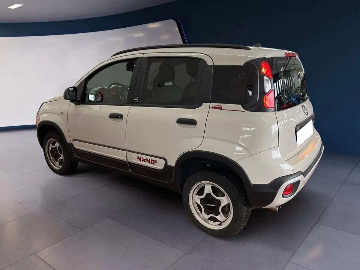 Fiat Panda usata a Torino (4)