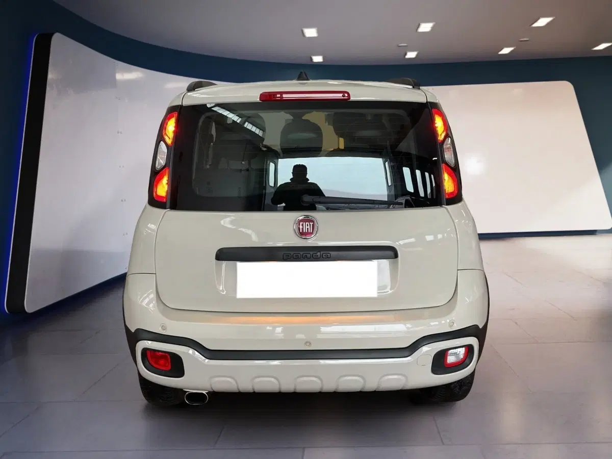 Fiat Panda usata a Torino (5)