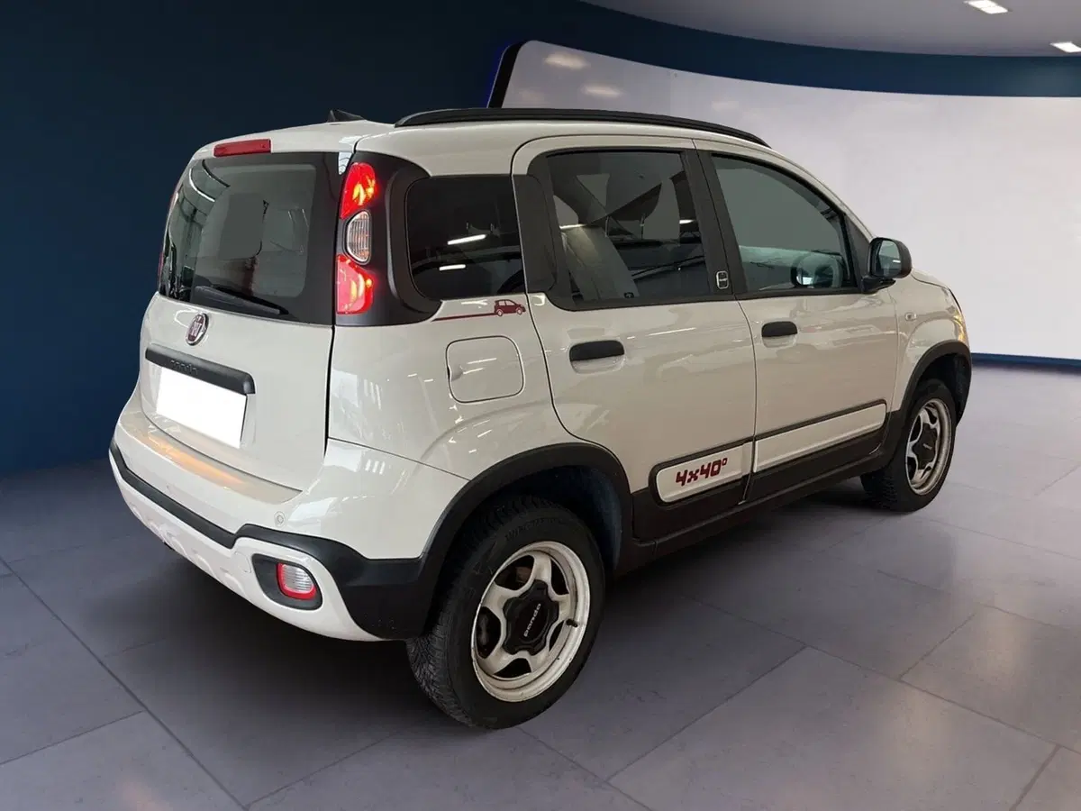 Fiat Panda usata a Torino (6)