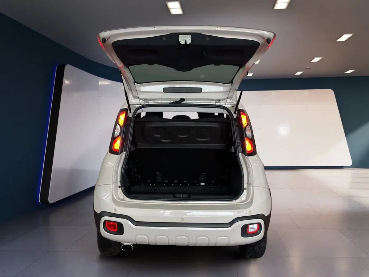 Fiat Panda usata a Torino (8)