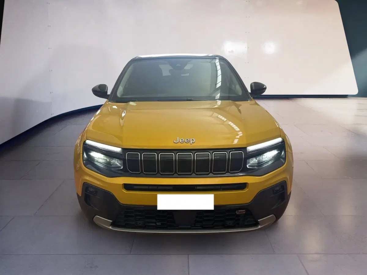 Jeep Avenger usata a Torino