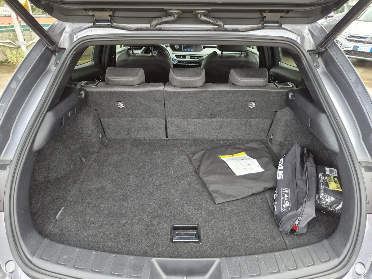 Lexus UX usata  (11)