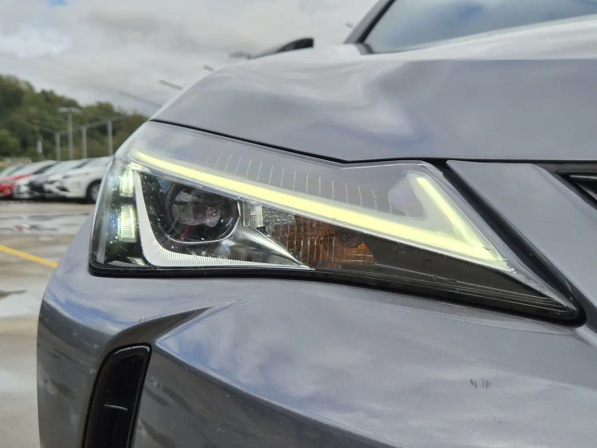 Lexus UX usata  (17)