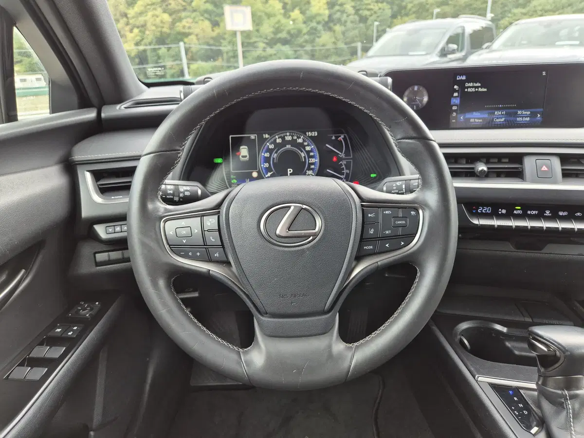 Lexus UX usata  (18)