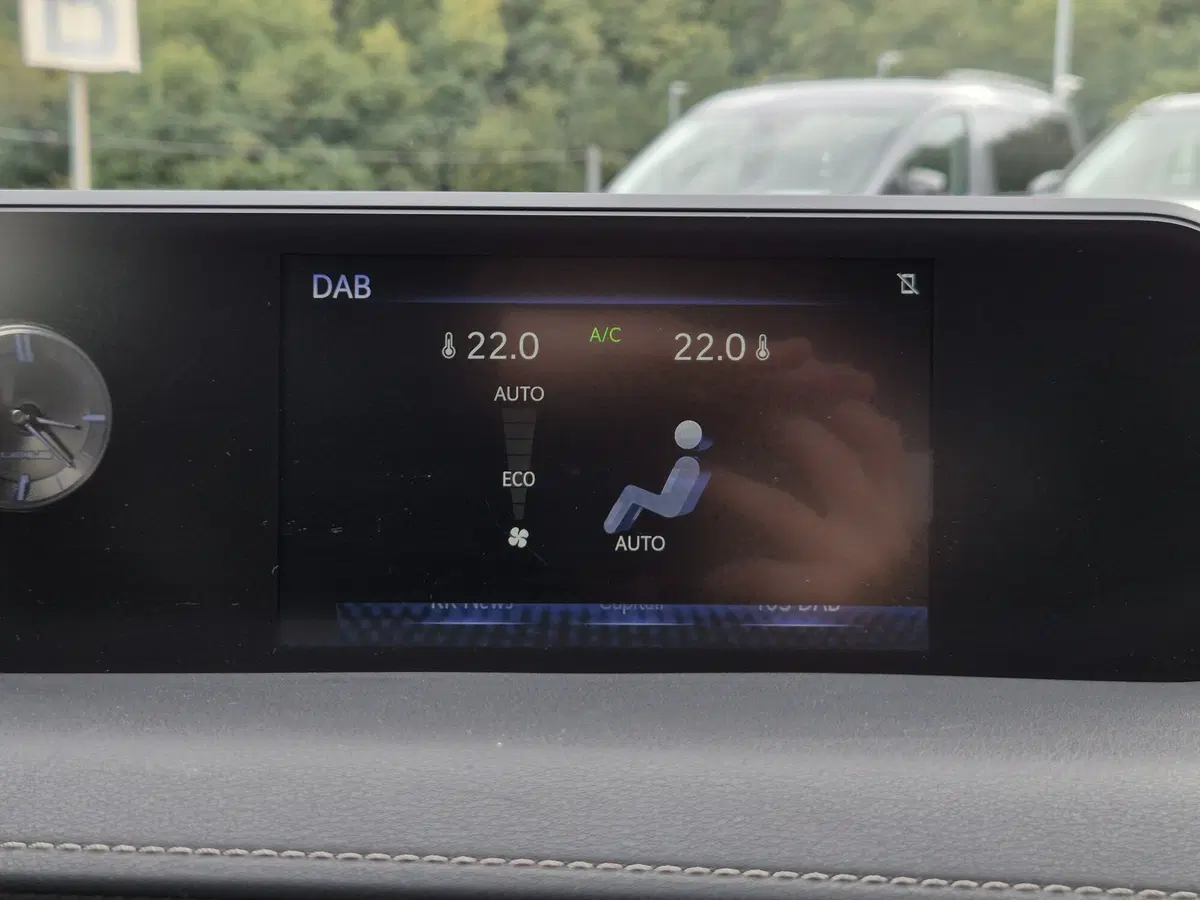 Lexus UX usata  (19)
