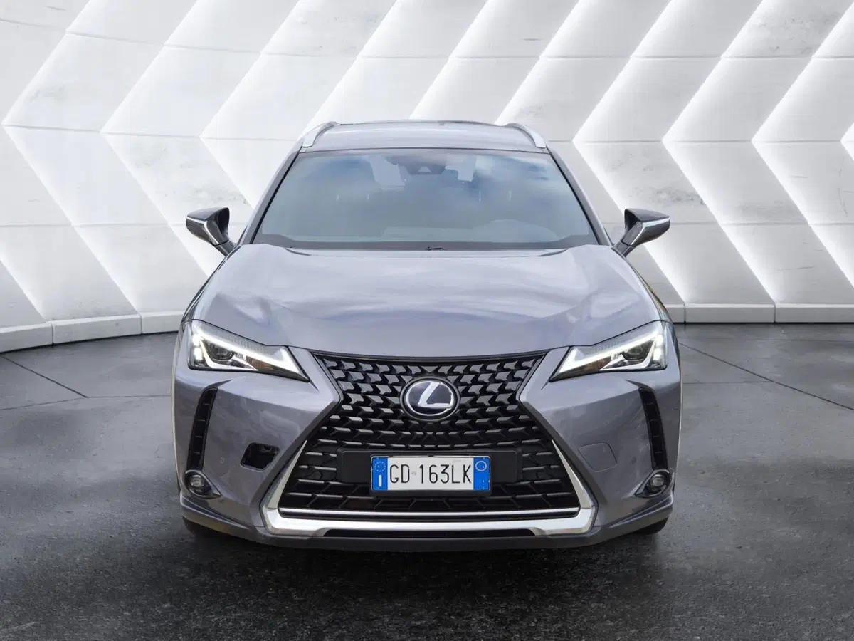 Lexus UX usata  (2)