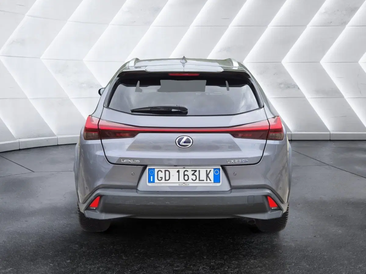 Lexus UX usata  (3)