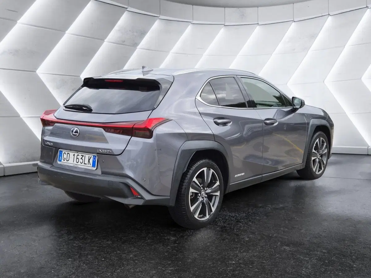 Lexus UX usata  (4)