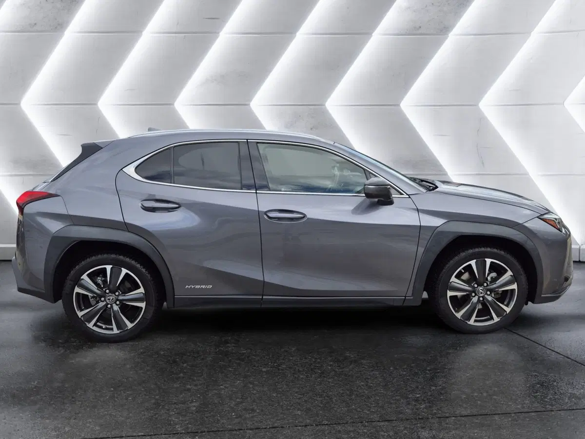 Lexus UX usata  (5)