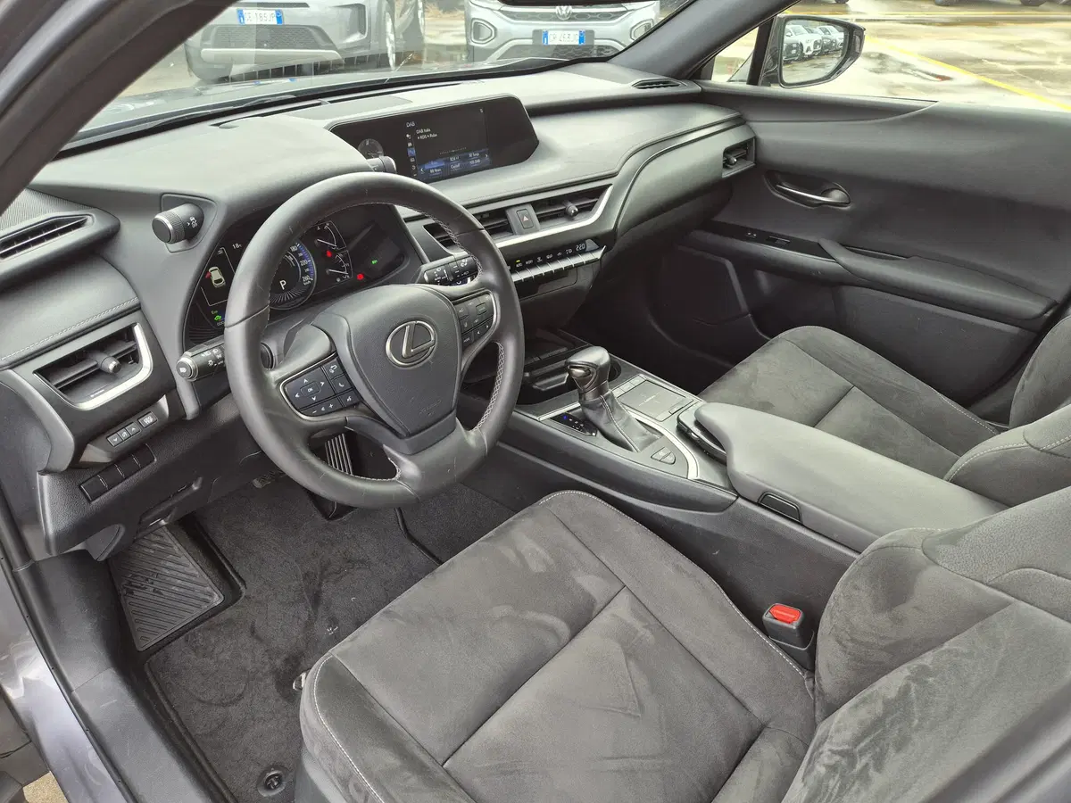 Lexus UX usata  (6)