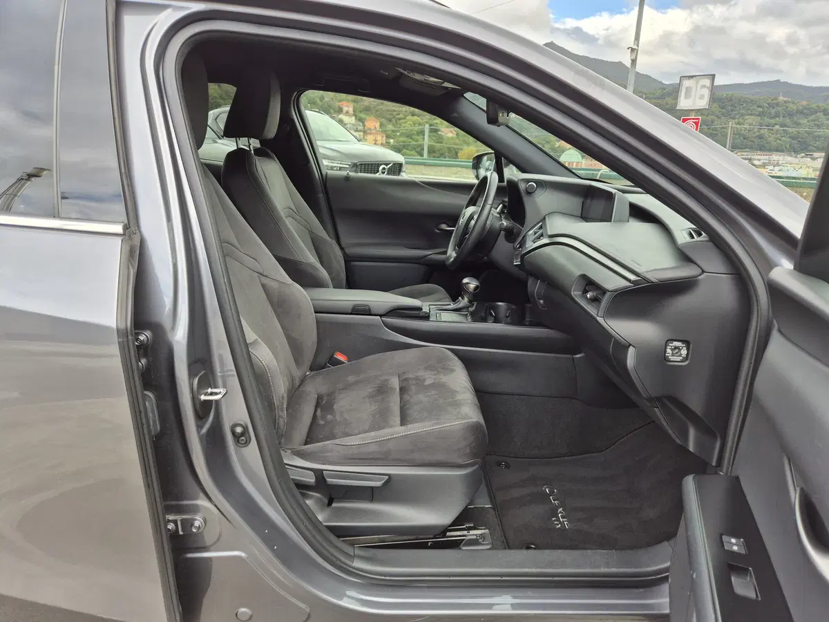 Lexus UX usata  (9)