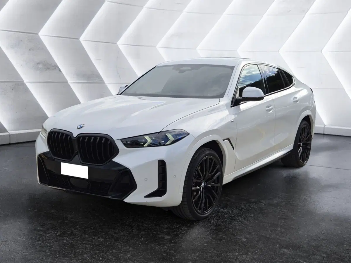 BMW X6 usata 