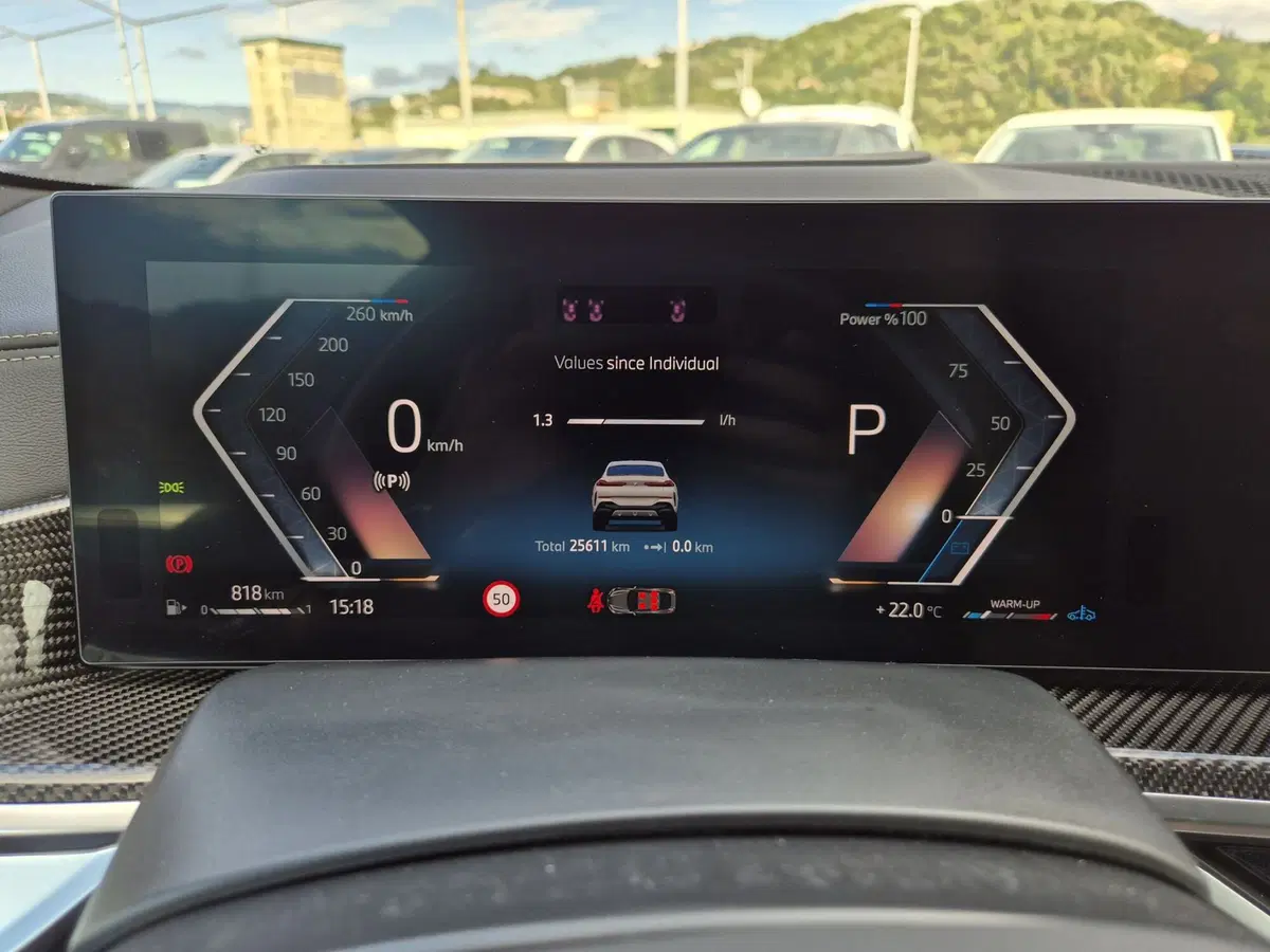 BMW X6 usata  (14)