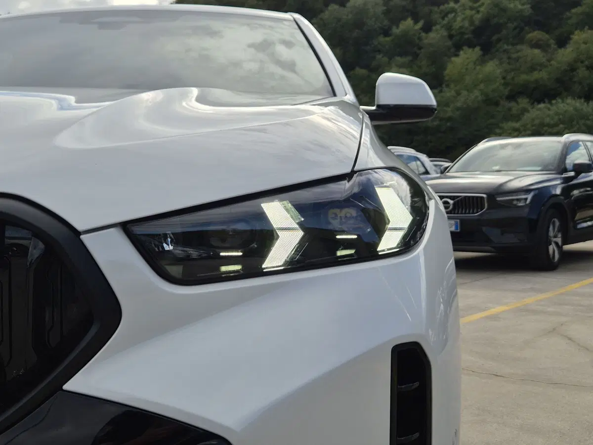 BMW X6 usata  (18)
