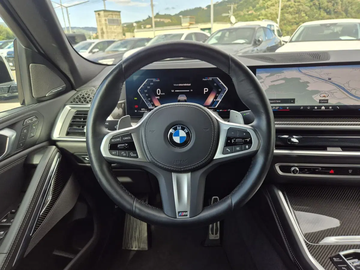 BMW X6 usata  (19)