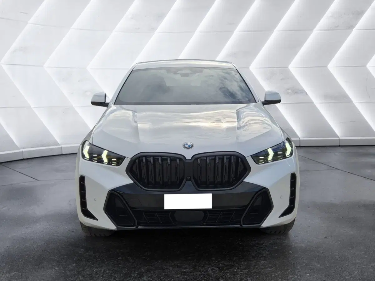 BMW X6 usata  (2)