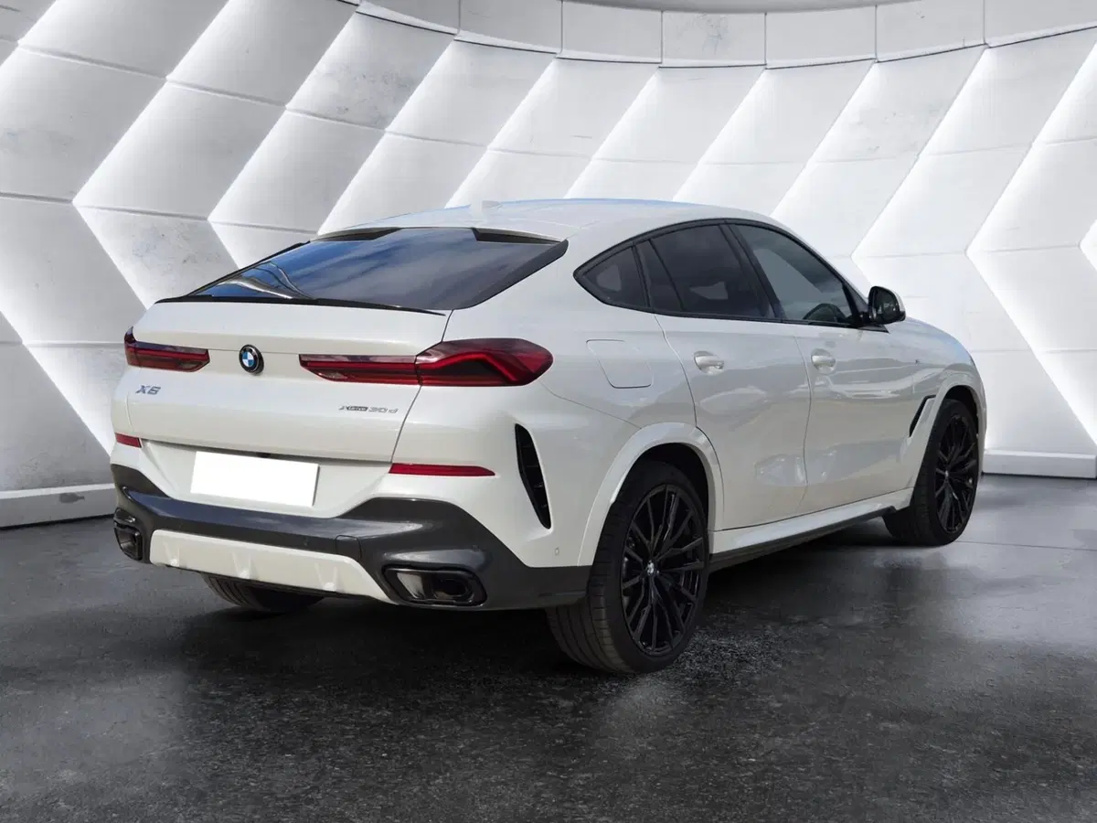 BMW X6 usata  (4)