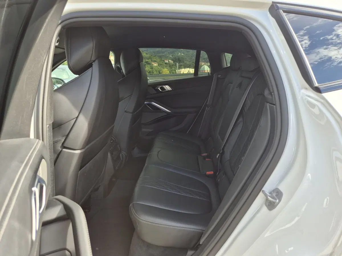 BMW X6 usata  (7)