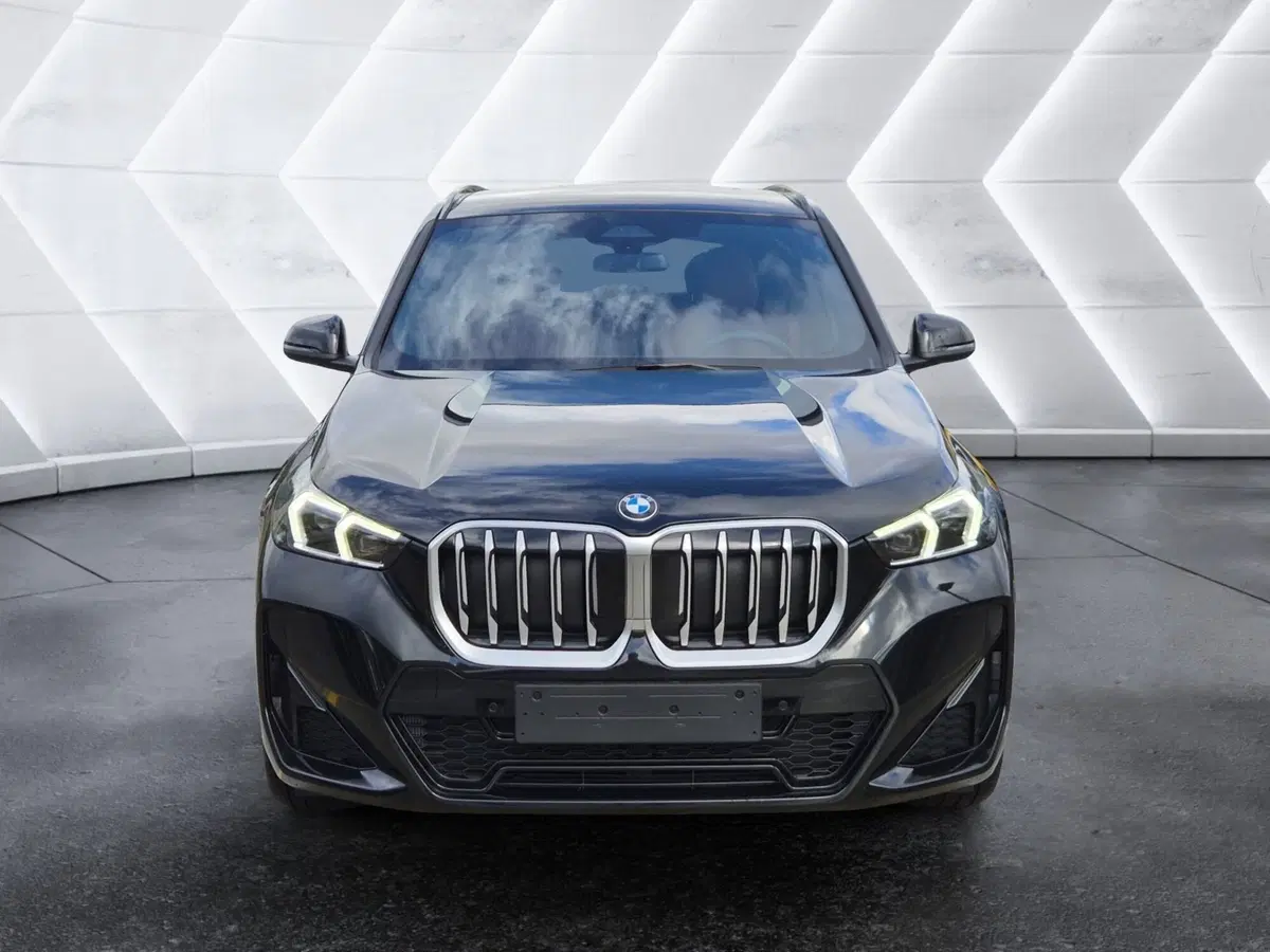 BMW X1 nuova a Genova (2)