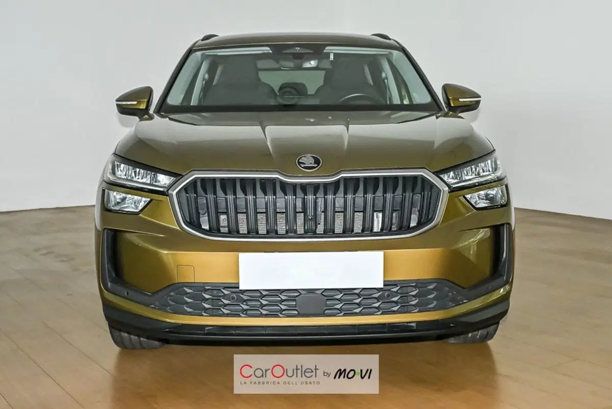 Skoda Kodiaq usata a Torino (2)