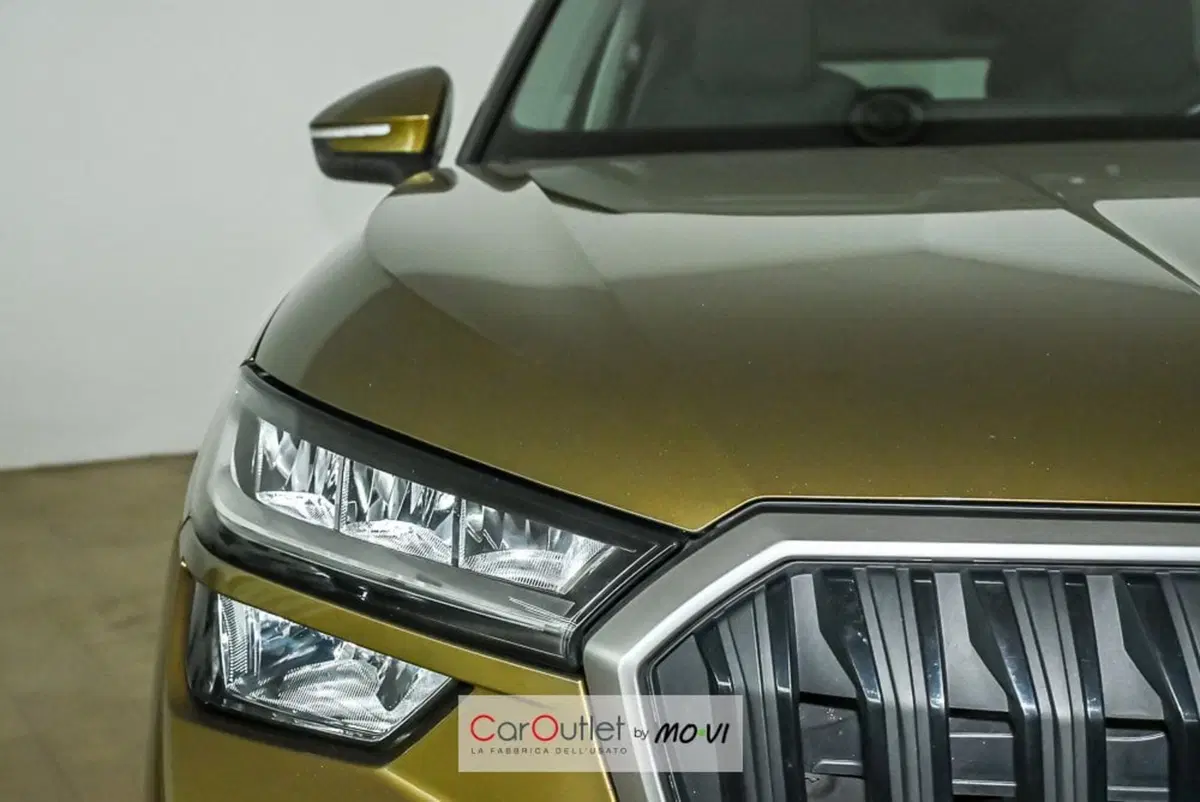 Skoda Kodiaq usata a Torino (20)