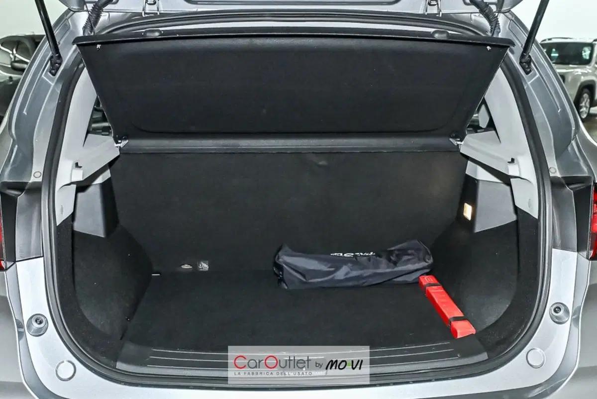 Mg ZS usata a Torino (6)