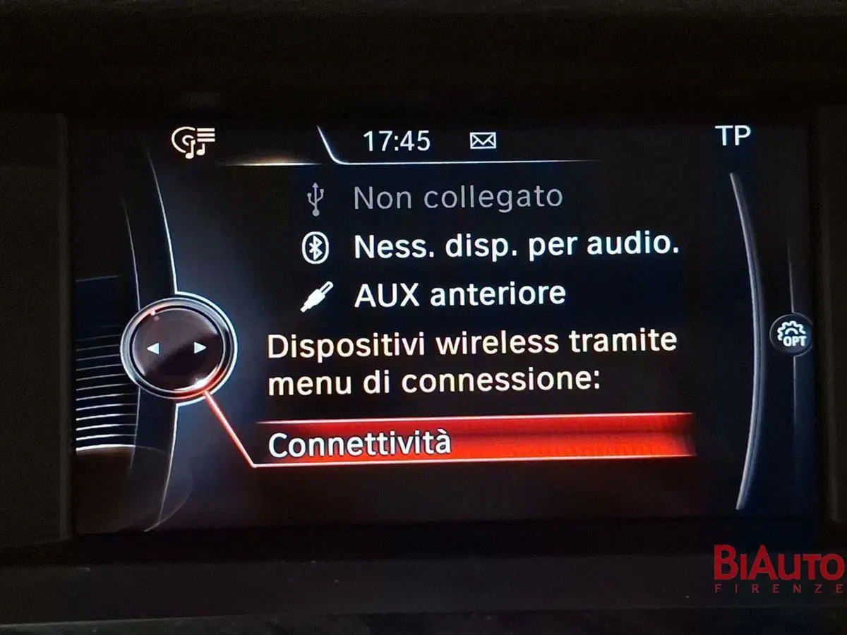 BMW X3 usata a Firenze (14)