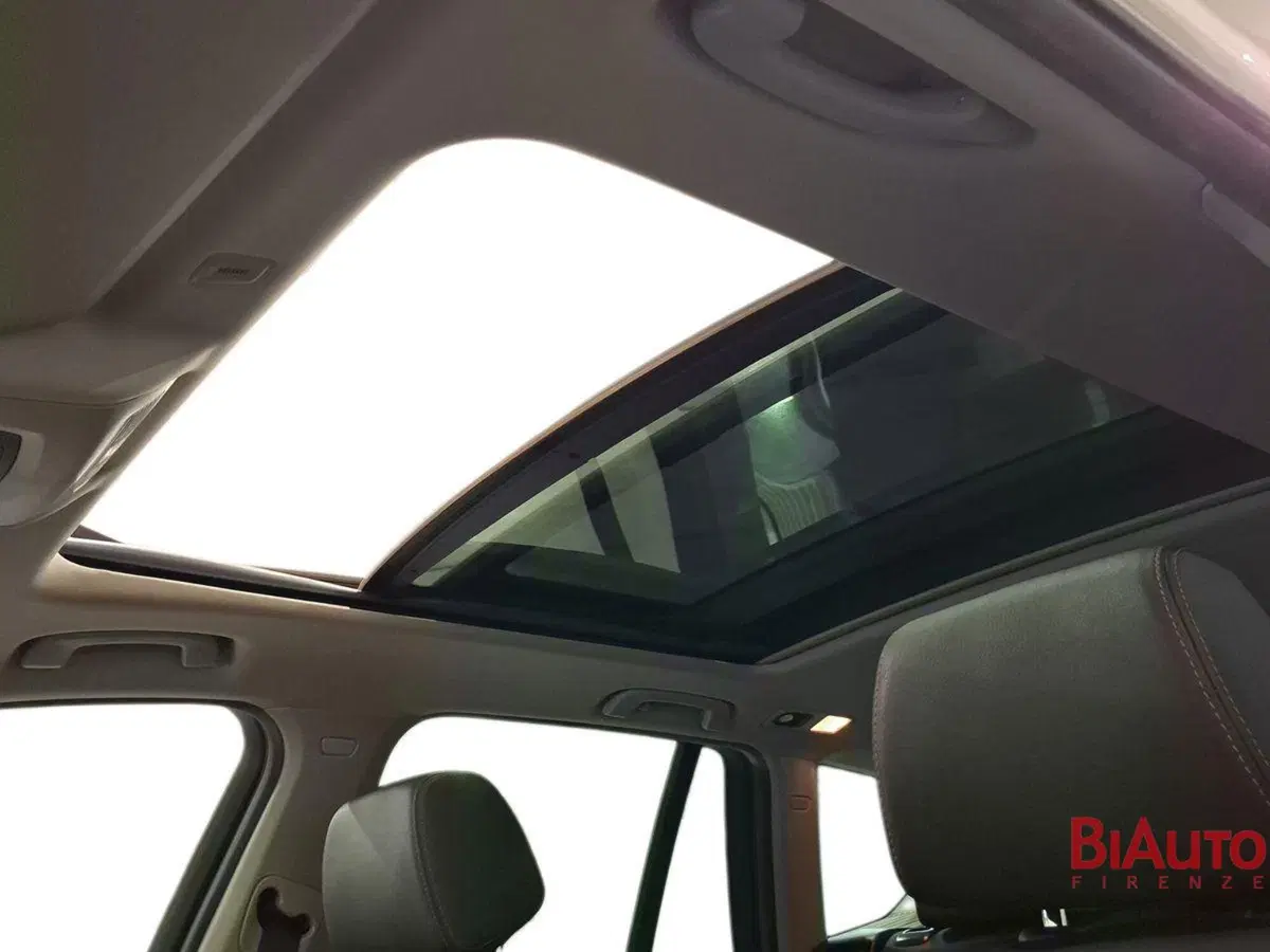 BMW X3 usata a Firenze (19)