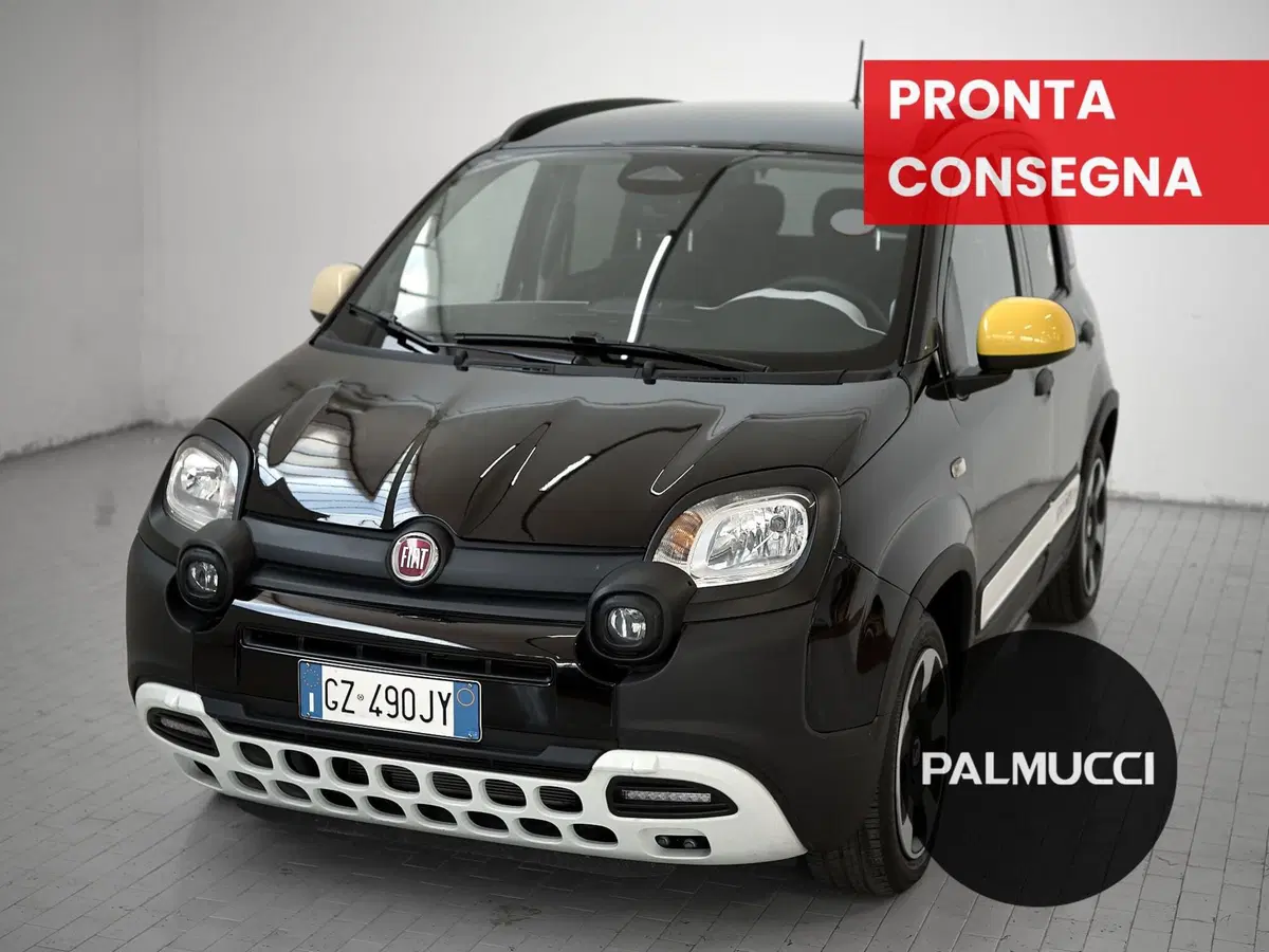 Fiat Pandina usata a Prato