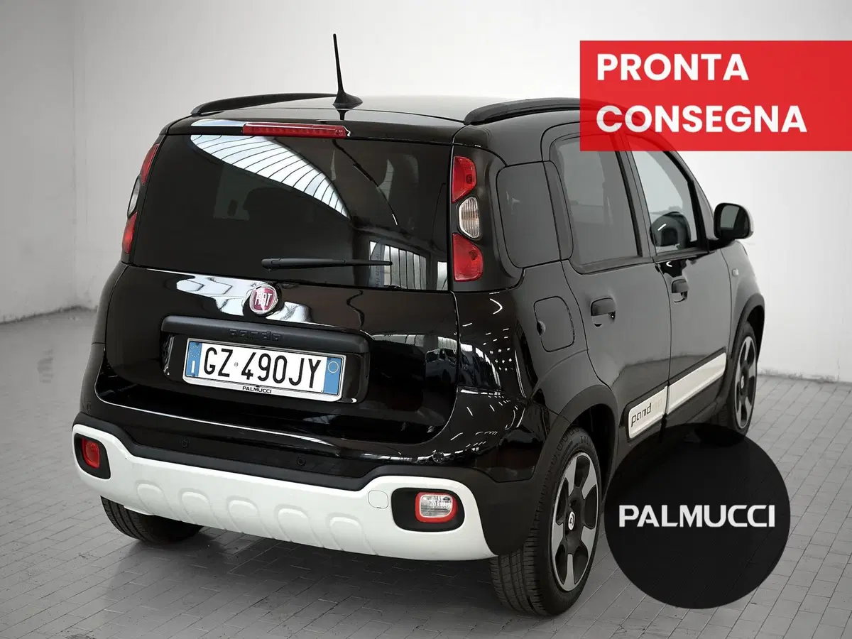 Fiat Pandina usata a Prato (2)