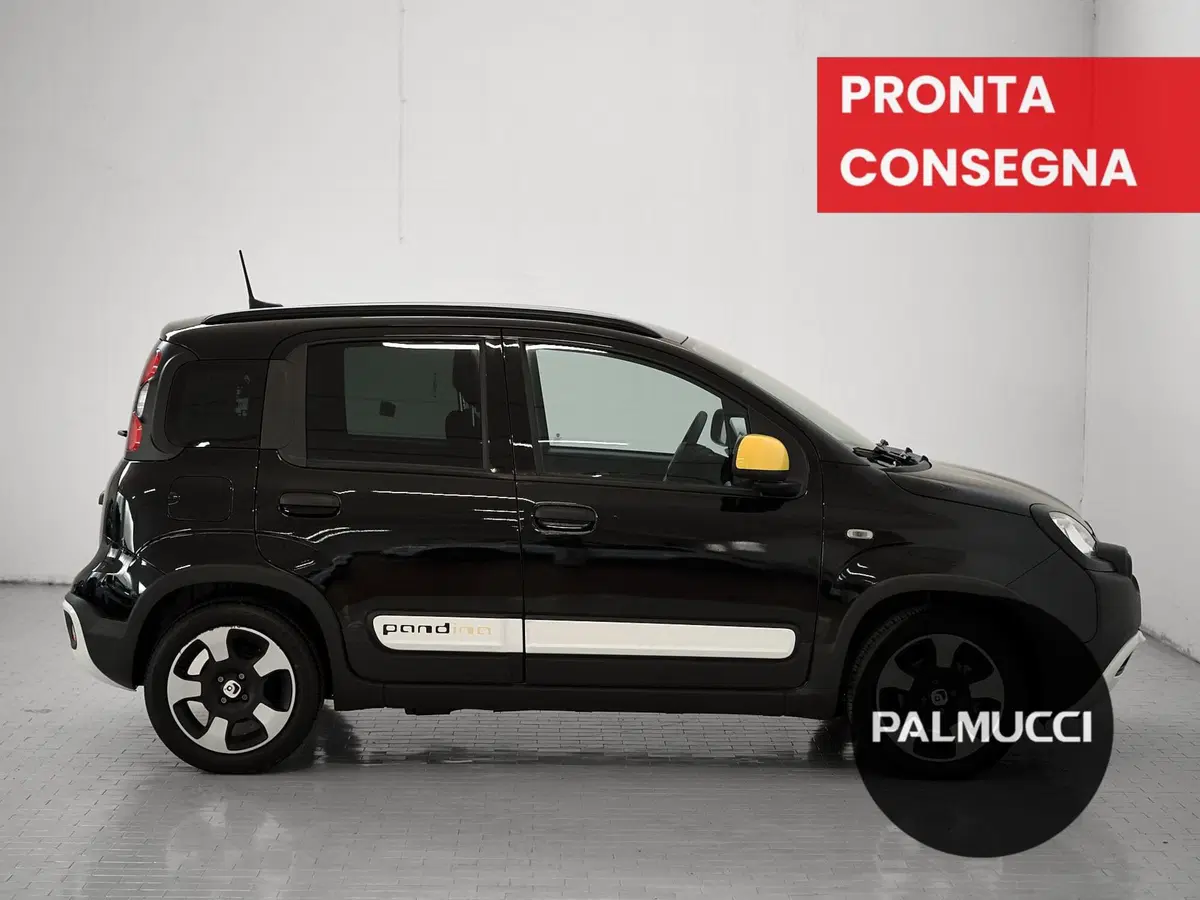 Fiat Pandina usata a Prato (5)