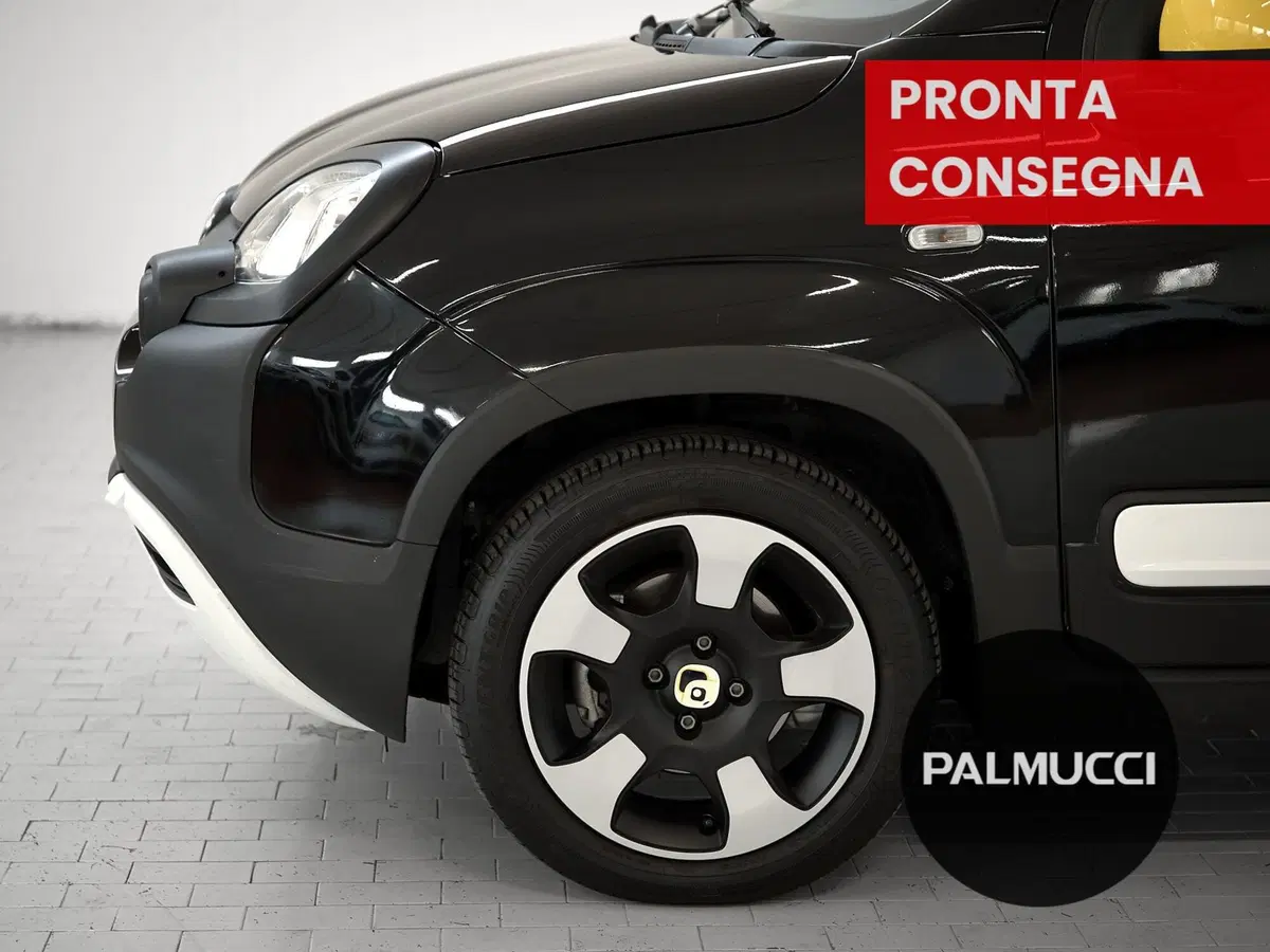 Fiat Pandina usata a Prato (6)