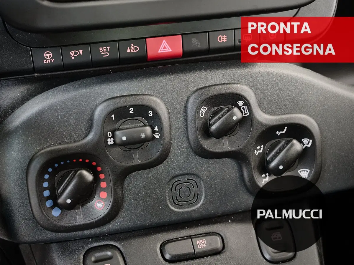 Fiat Panda Cross usata a Prato (10)