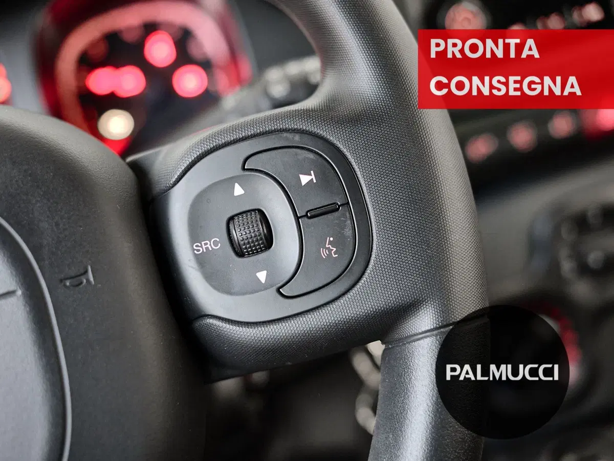 Fiat Panda Cross usata a Prato (11)