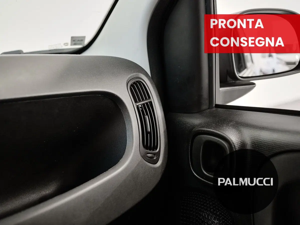 Fiat Panda Cross usata a Prato (14)