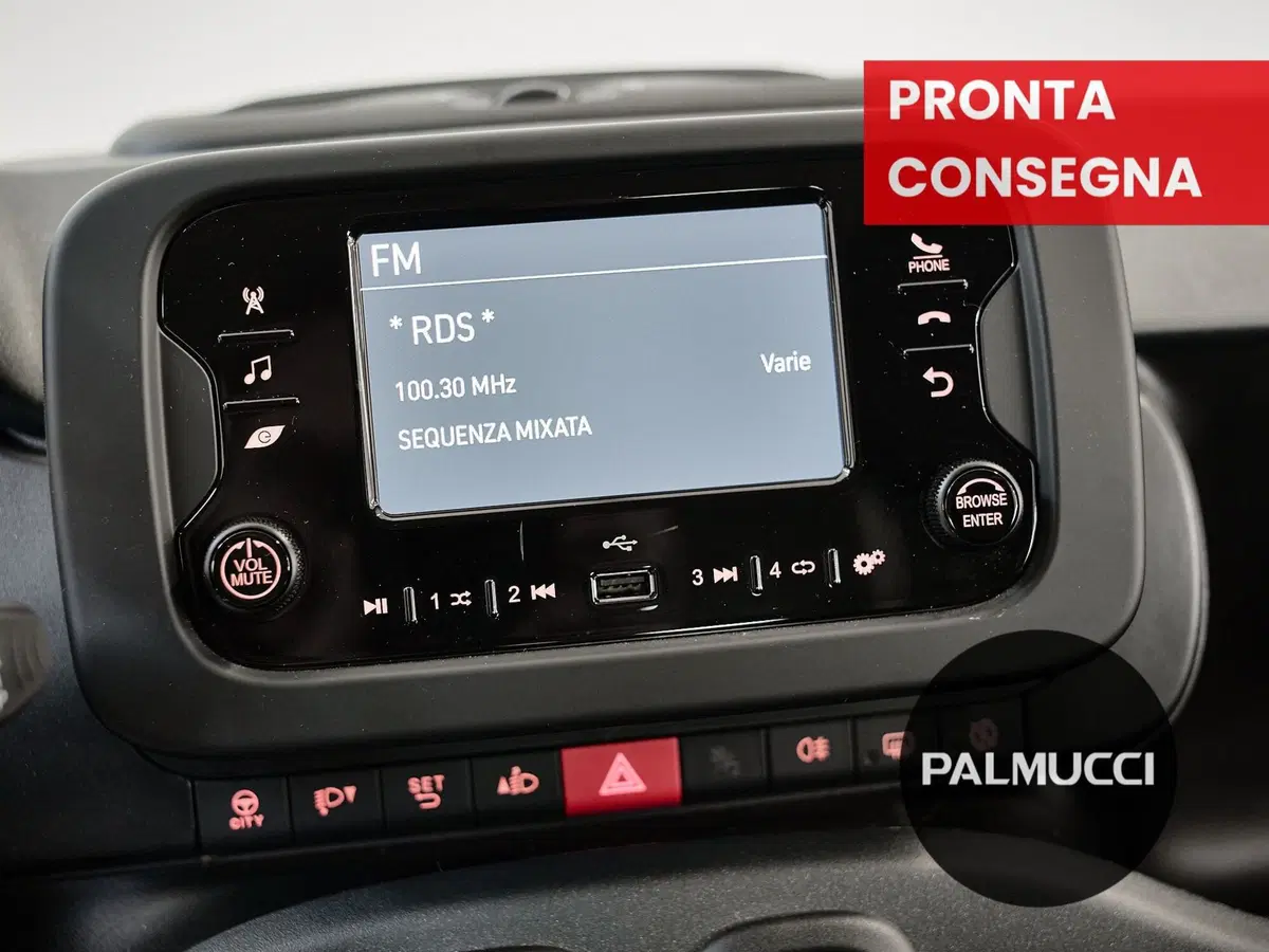 Fiat Panda Cross usata a Prato (15)