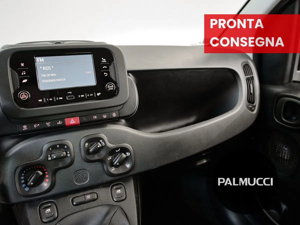 Fiat Panda Cross usata a Prato (16)
