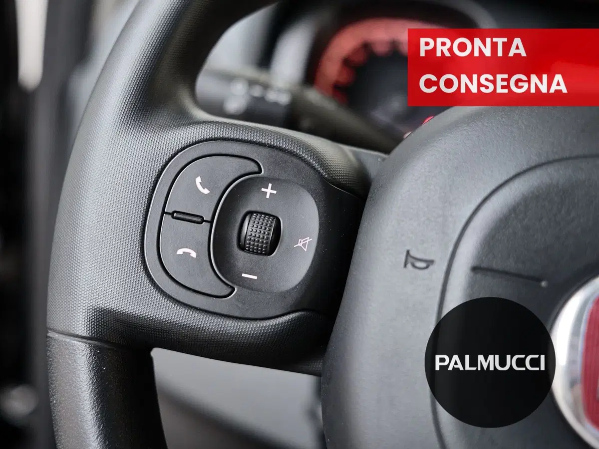 Fiat Panda Cross usata a Prato (19)