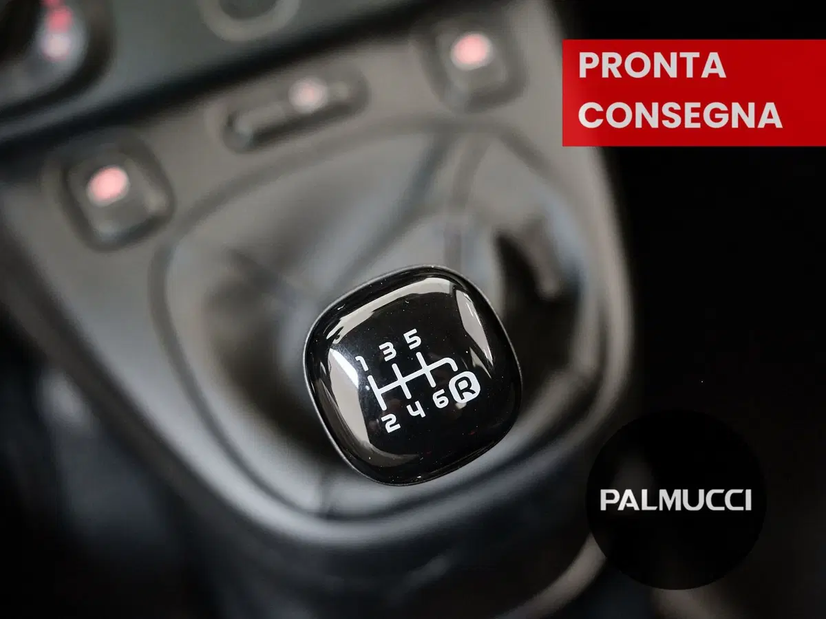 Fiat Panda Cross usata a Prato (20)