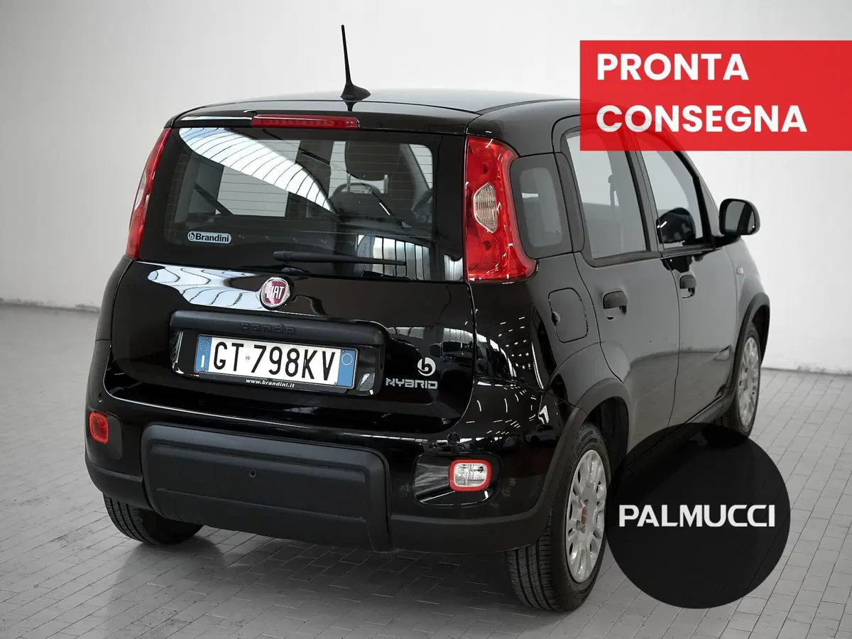 Fiat Panda Cross usata a Prato (3)