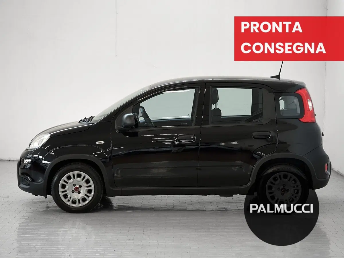 Fiat Panda Cross usata a Prato (4)