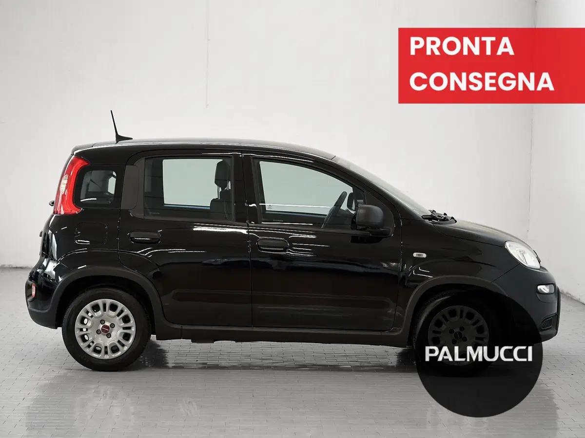 Fiat Panda Cross usata a Prato (5)