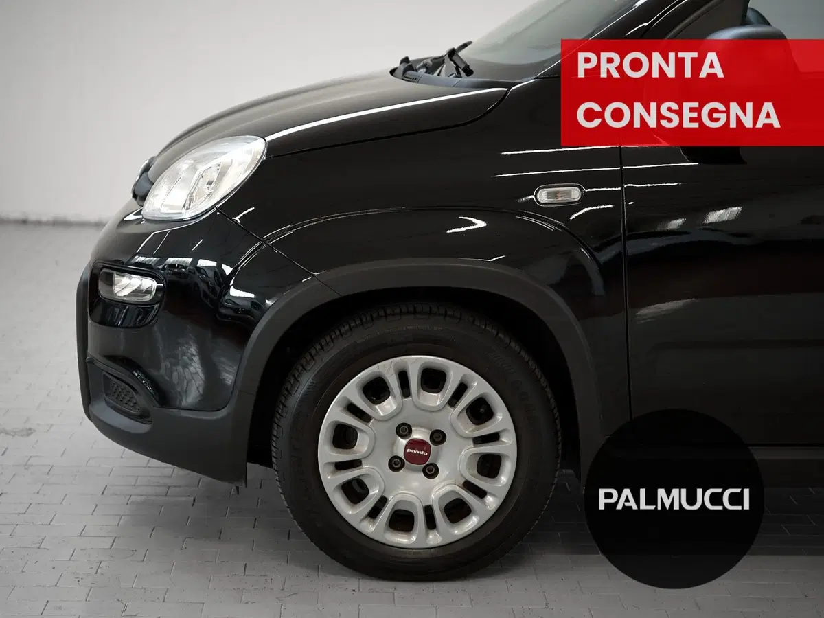 Fiat Panda Cross usata a Prato (6)