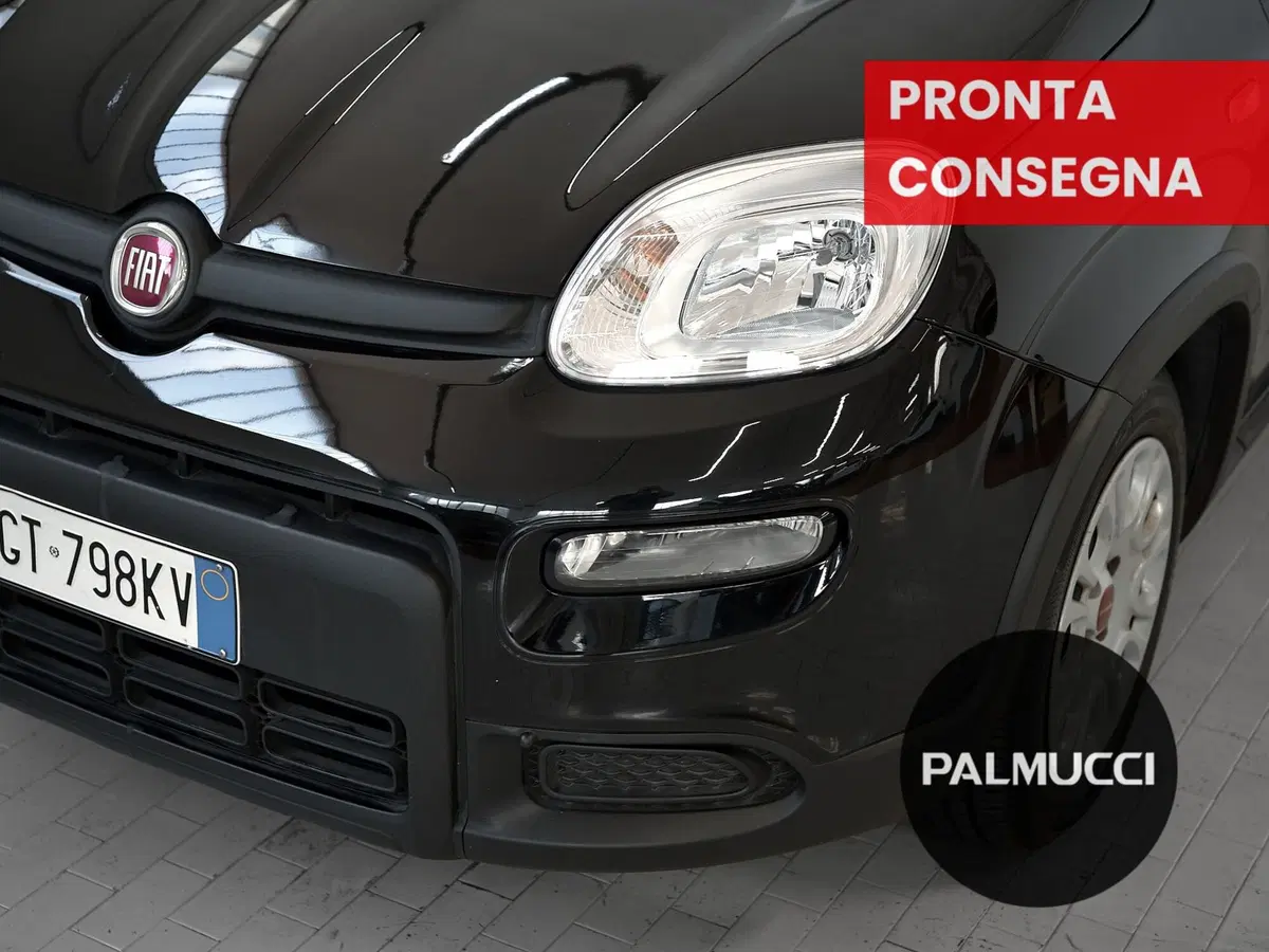 Fiat Panda Cross usata a Prato (8)